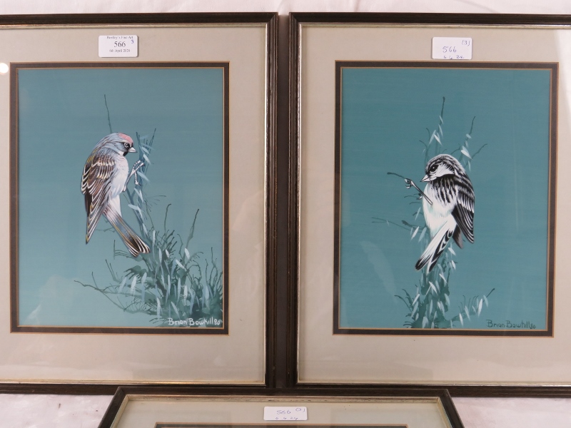 Brian Bowhill (20th century) - A set of three framed & glazed watercolours, 'Study of birds', signed - Image 2 of 4