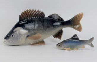 A Royal Copenhagen porcelain model of a perch and a Bing & Grondahl model of a roach. Royal