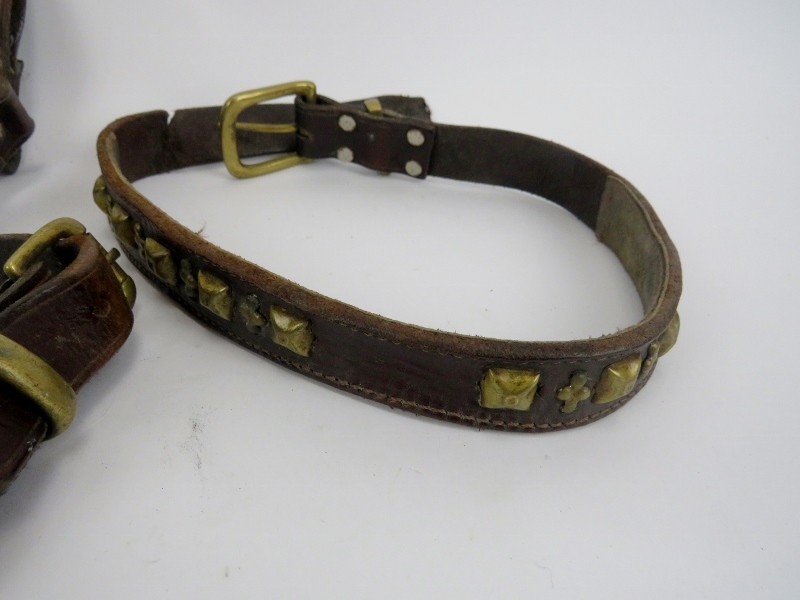 A vintage leather and brass mounted bull dog harness and collar. Harness: 67 cm approximate - Image 3 of 4