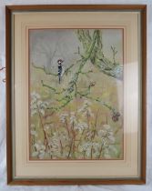 Michelle Bennett Oates (1928-2009) - A framed & glazed watercolour, 'Woodpecker on a branch with