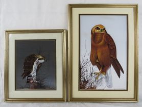 Brian Bowhill (British, 20th century) - Two framed watercolours, 'Study of an osprey', 15" x 9 1/2