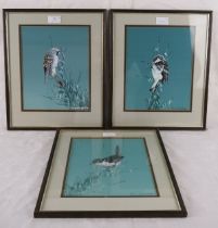 Brian Bowhill (20th century) - A set of three framed & glazed watercolours, 'Study of birds', signed