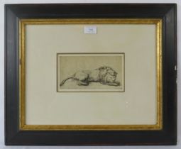 A framed & glazed print, 'Study of a recumbent lion'. 10cm x 20cm (4" x 8") approx. Condition