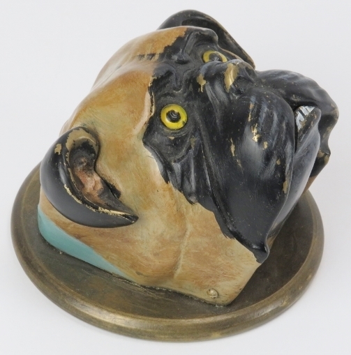 A vintage cold painted brass bulldog reception desk bell. Modelled with glass eyes, mechanical - Image 2 of 4