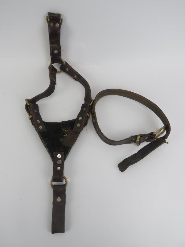 A vintage leather and brass mounted bull dog harness and collar. Harness: 67 cm approximate - Image 4 of 4