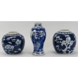 Two Chinese blue and white porcelain ginger jars and a meiping vase, late 19th/early 20th
