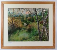 Clifford S Perry - A framed & glazed watercolour, 'The Quiet Pool', signed lower left. 50cm x