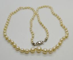 A cultured pearl princess necklace, the graduated pearls from 3-3.5mm to 7-7.5mm, 51cm long, with
