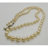 A pearl necklace, the graduated cultured pearls from 3-3.5mm to 8-8.5mm, 48cm long with 9ct gold