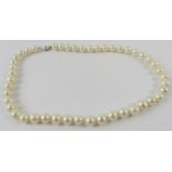 A cultured pearl necklace, the 9-9.5mm ovoid cultured pearls individually knotted with silver clasp,