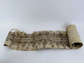 A vintage python snake hide, 20th century. 301 cm approximate length. Condition report: Some age