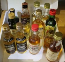 13 miniature whisky's to include Macallan 12 year old, Blair Athol, Pigs nose etc