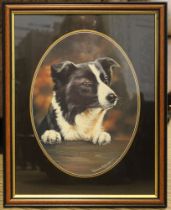 Framed and glazed print of a border collie by Pollyanna Pickering (1942-2018)
