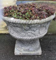 A cast garden planter on stand containing succulents