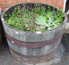A metal banded half barrel garden planter with contents