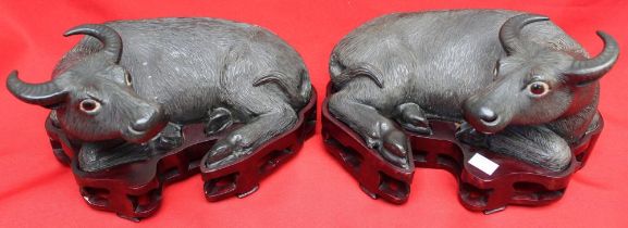 A pair of Chinese glazed ceramic Water Buffalo in reclining position, raised on carved wood bases 17