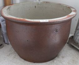 A garden plant pot