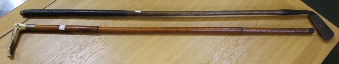 A horn handled walnut walking stick with silver collar with a vintage hickory shafted golf club