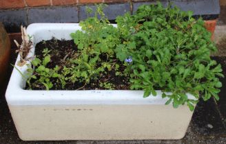 A white glazed Belfast sink garden planter