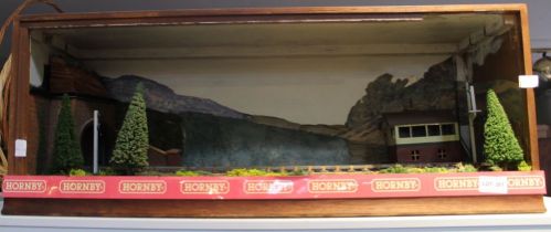 A boxed miniature railway scene in wooden case