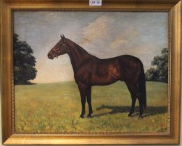 A.G. De****** , A Bay hunter in a Paddock, oil on canvas board, signed indistinctly, 40cm x 50cm