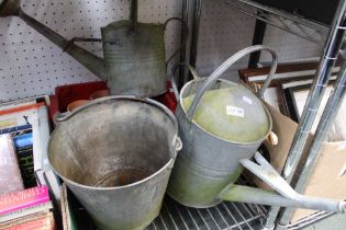 Galvanised metal watering cans, bucket plant pots