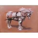 Angela Conner (Mrs John Bulmer) Draught horse in harness, coloured chalks, signed, dated 2003 and ti