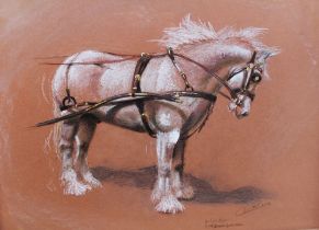 Angela Conner (Mrs John Bulmer) Draught horse in harness, coloured chalks, signed, dated 2003 and ti