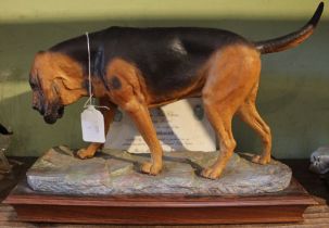 An Albany ceramic Bloodhound, modelled by Neil Campbell, with certificate, No 1 of 250, set into a w