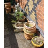 A varied selection of garden planters