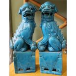 A pair of turquoise porcelain Dogs of Foo 25cm in height
