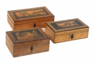 Three small whitewood and paint decorated Tunbridge ware rectangular boxes, the lid of each
