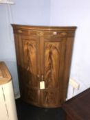 A 19th Century mahogany bow front hanging corner cabinet