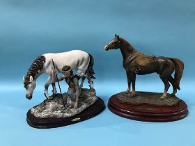 Two models of horses