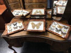 Four cased sets of butterflies