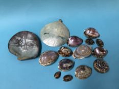 A collection of carved sea shells including two ornate mother of pearl shells.