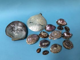 A collection of carved sea shells including two ornate mother of pearl shells.