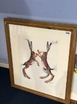 Print by Mary Ann Rogers, 'Boxing Hares', limited edition, 485/500, signed in pencil, 42cm x 34cm