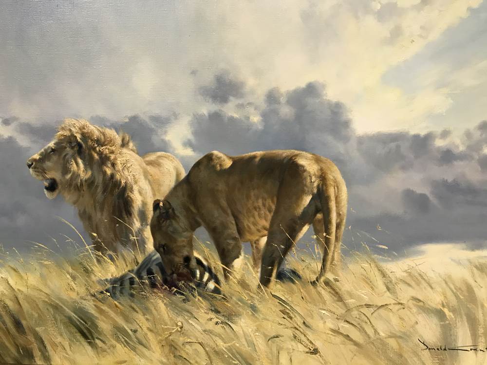 Donald Grant (1930-2001), oil, signed, 'Lion and Lioness Hunting Zebra', bears MacConnal-Mason and