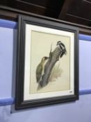 Alan Parker, watercolour, signed, dated xx77, 'Two Woodpeckers', 43 x 33cm