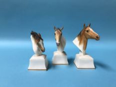 Three Royal Worcester porcelain horse head busts 'Phlegon', 'Equs' and 'Aethon'