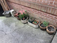 Collection of garden pots etc