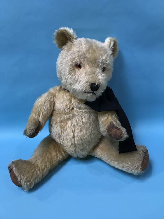 A plush Teddy Bear