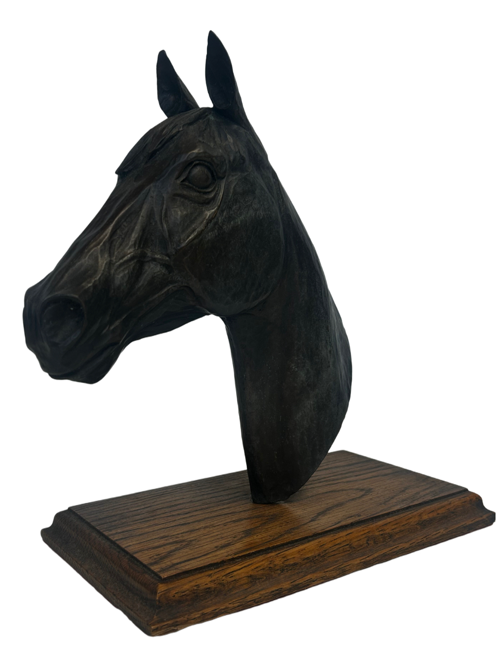 Bronze limited edition of 200 pieces of a equine h