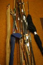Collection of fishing rods