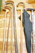Collection of walking sticks & walking canes