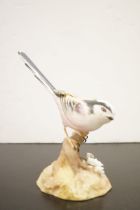 Royal crown derby long tailed tit