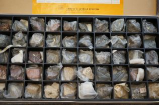 Earth sciences specimens of rock igneous - metamor