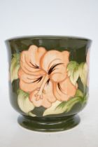 Moorcroft hibiscus pattern planter Height 17 cm