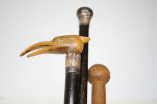 3 Walking sticks